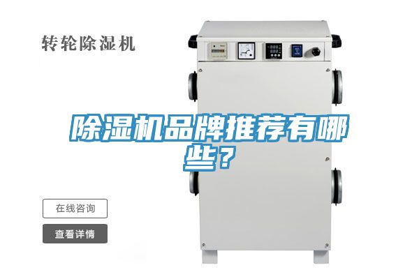 除濕機品牌推薦有哪些?