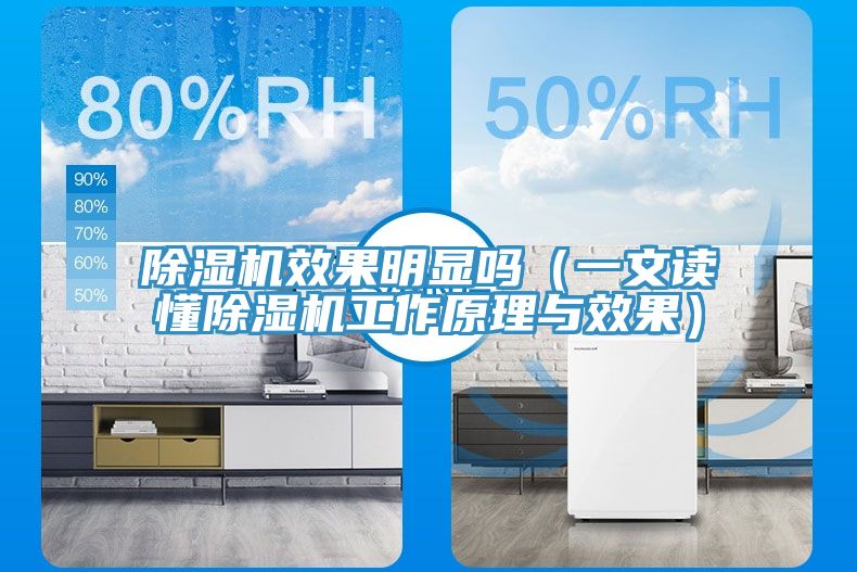 除濕機效果明顯嗎(一文讀懂除濕機工作原理與效果)