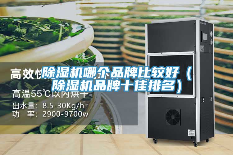 除濕機(jī)哪個(gè)品牌比較好(除濕機(jī)品牌十佳排名)
