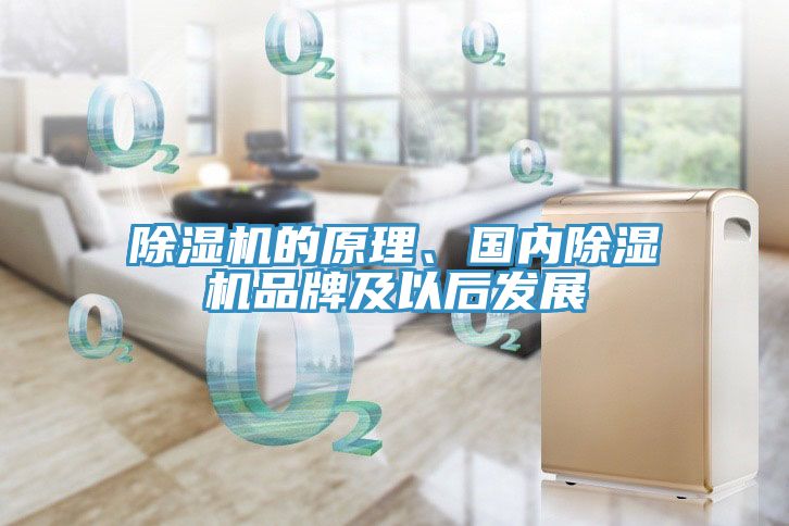 除濕機的原理、國內除濕機品牌及以后發展