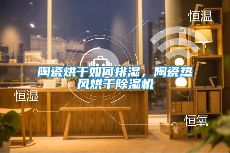 陶瓷烘干如何排濕，陶瓷熱風烘干除濕機