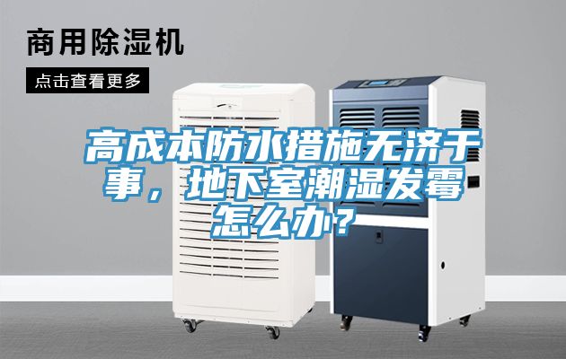 高成本防水措施無濟于事，地下室潮濕發霉怎么辦？