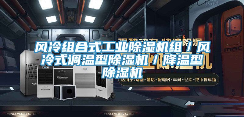 風冷組合式工業除濕機組/風冷式調溫型除濕機/降溫型除濕機