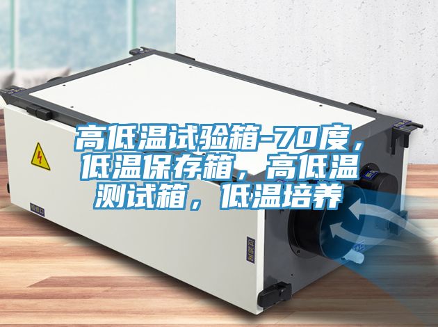 高低溫試驗(yàn)箱-70度，低溫保存箱，高低溫測(cè)試箱，低溫培養(yǎng)