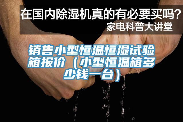 銷售小型恒溫恒濕試驗箱報價（小型恒溫箱多少錢一臺）