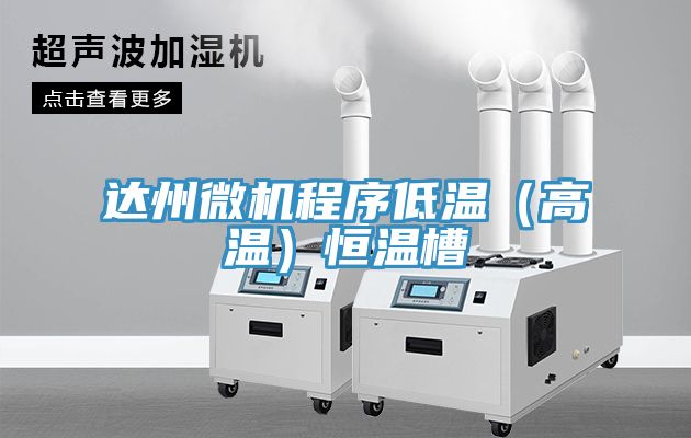 達(dá)州微機程序低溫(高溫)恒溫槽