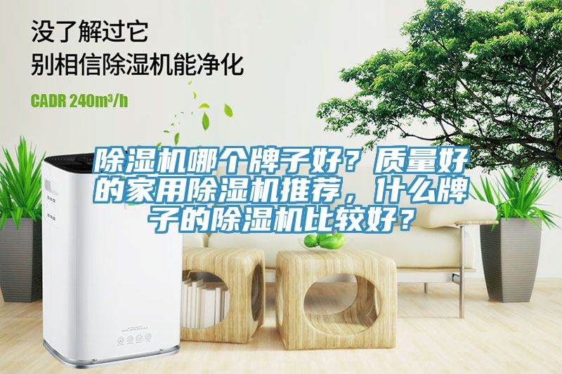 除濕機哪個牌子好?質量好的家用除濕機推薦,什么牌子的除濕機比較好?