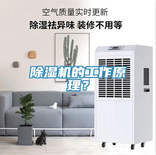 除濕機的工作原理?
