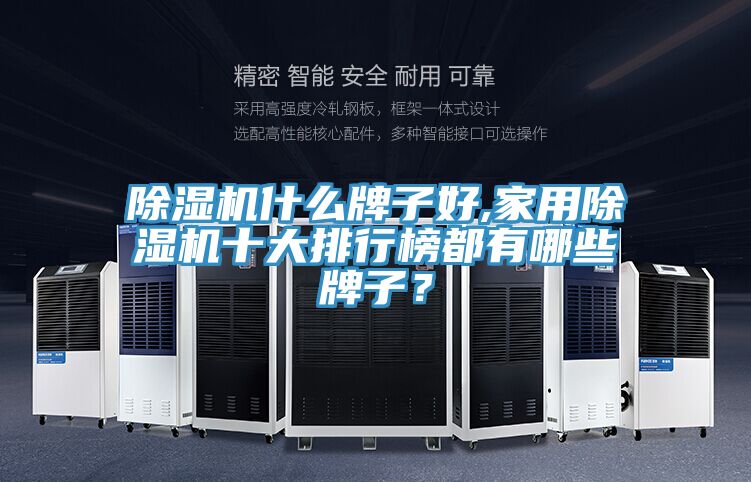 除濕機(jī)什么牌子好,家用除濕機(jī)十大排行榜都有哪些牌子?