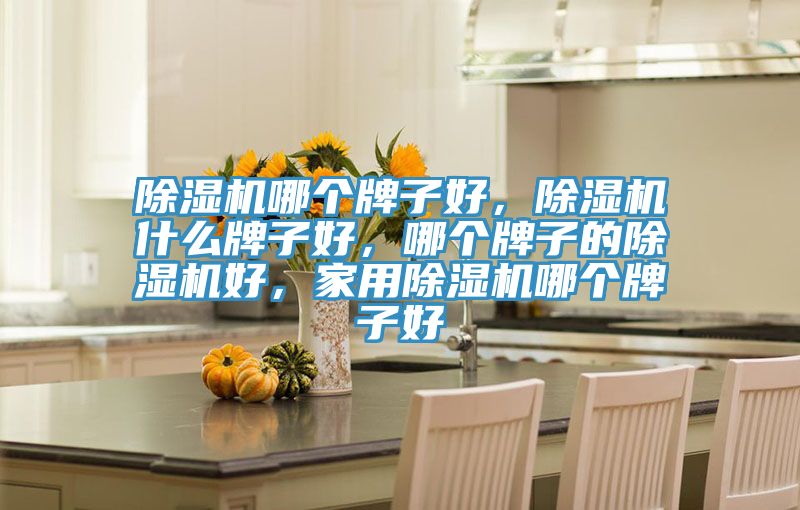 除濕機哪個牌子好，除濕機什么牌子好，哪個牌子的除濕機好，家用除濕機哪個牌子好