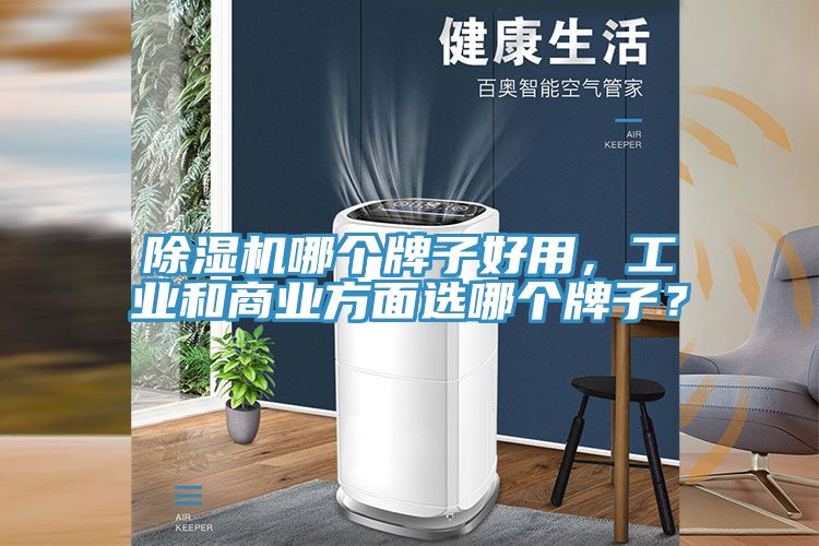 除濕機哪個牌子好用，工業和商業方面選哪個牌子？