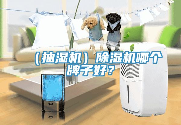 (抽濕機(jī))除濕機(jī)哪個(gè)牌子好?