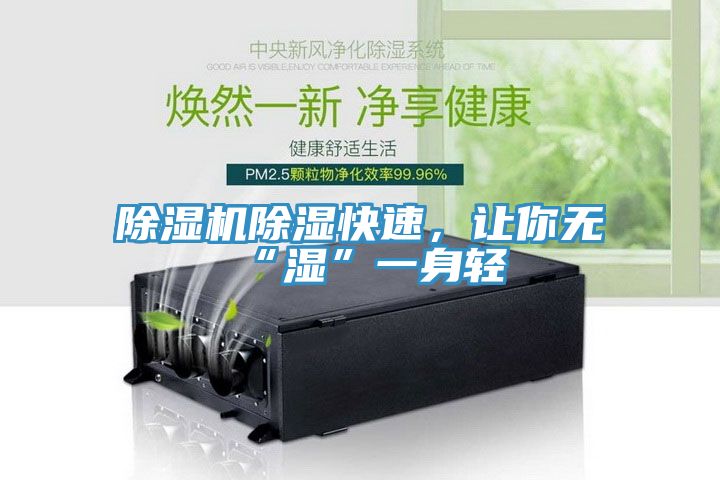 除濕機(jī)除濕快速，讓你無“濕”一身輕