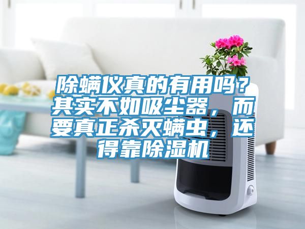 除螨儀真的有用嗎？其實不如吸塵器，而要真正殺滅螨蟲，還得靠除濕機