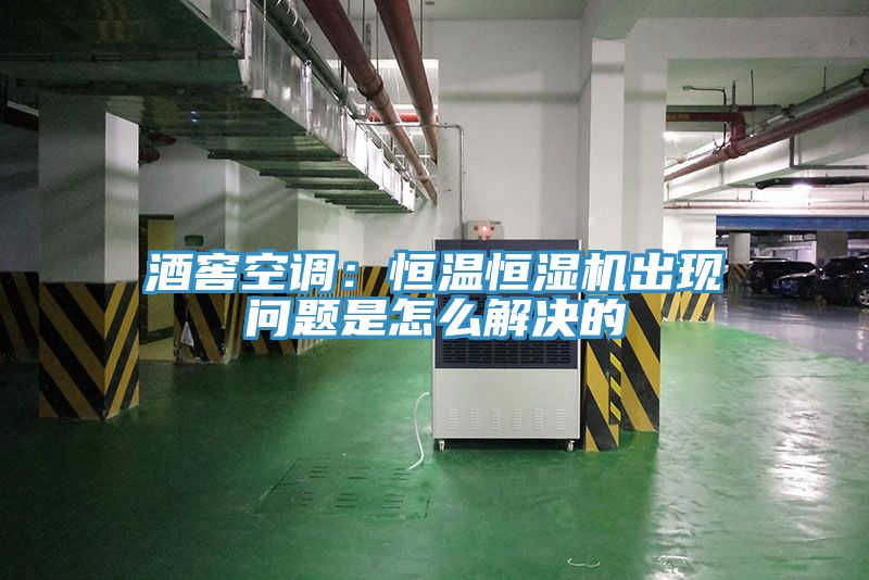 酒窖空調(diào):恒溫恒濕機(jī)出現(xiàn)問(wèn)題是怎么解決的