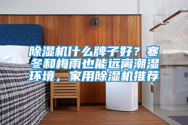 除濕機(jī)什么牌子好?寒冬和梅雨也能遠(yuǎn)離潮濕環(huán)境,家用除濕機(jī)推薦