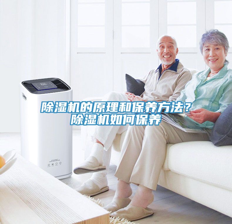 除濕機的原理和保養方法？除濕機如何保養