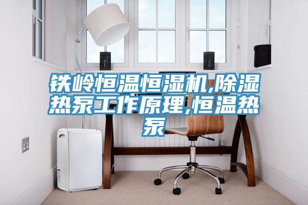 鐵嶺恒溫恒濕機(jī),除濕熱泵工作原理,恒溫?zé)岜?></div>
								<div   id=