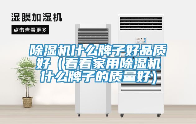 除濕機(jī)什么牌子好品質(zhì)好(看看家用除濕機(jī)什么牌子的質(zhì)量好)