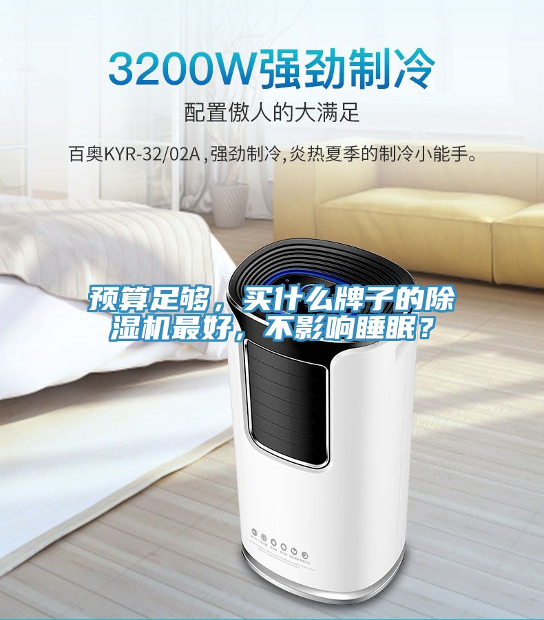 預算足夠,買什么牌子的除濕機最好,不影響睡眠?