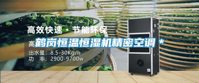 鶴崗恒溫恒濕機(jī)精密空調(diào)*