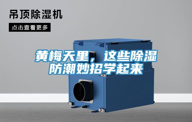 黃梅天里，這些除濕防潮妙招學起來