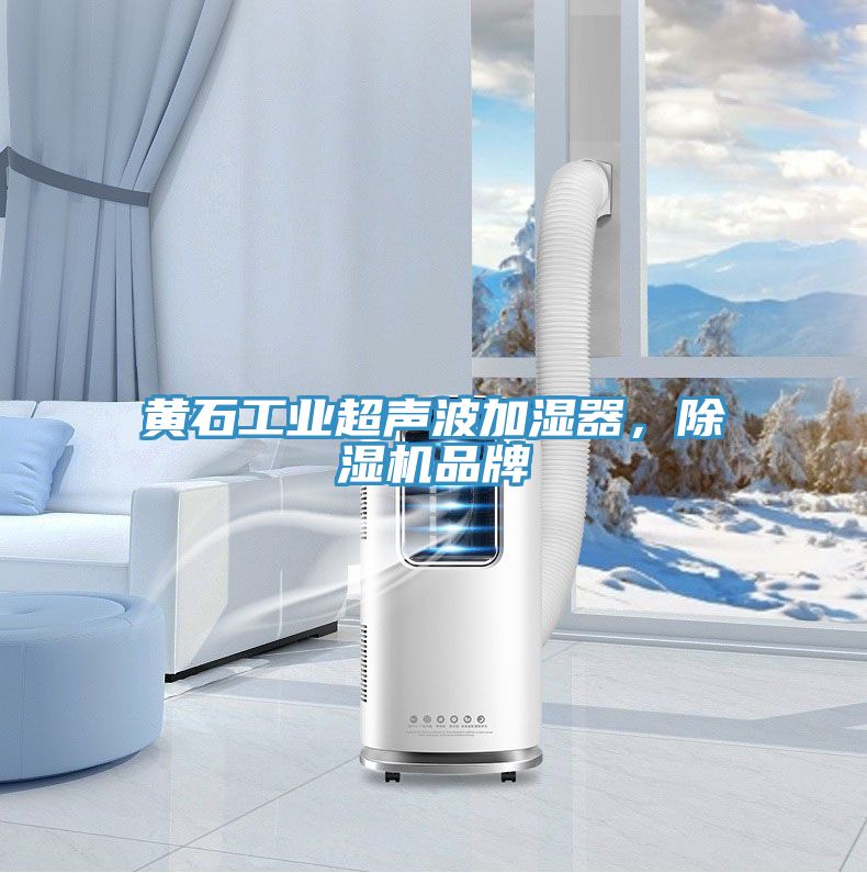 黃石工業超聲波加濕器,除濕機品牌